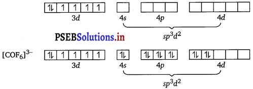 PSEB 12th Class Chemistry Solutions Chapter 9 Coordination Compounds 22