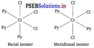 PSEB 12th Class Chemistry Solutions Chapter 9 Coordination Compounds 29