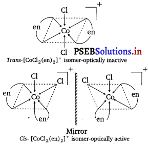 PSEB 12th Class Chemistry Solutions Chapter 9 Coordination Compounds 6