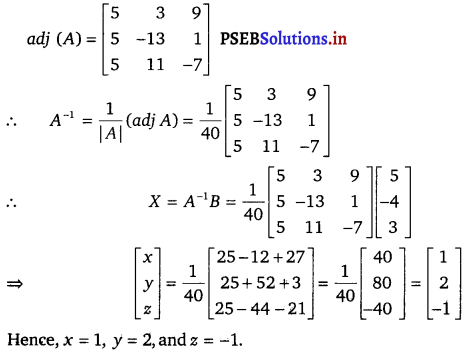 PSEB 12th Class Maths Solutions Chapter 4 Determinants Ex 4.6 7