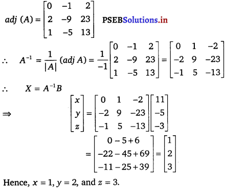 PSEB 12th Class Maths Solutions Chapter 4 Determinants Ex 4.6 9