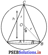 PSEB 12th Class Maths Solutions Chapter 6 Application of Derivatives Miscellaneous Exercise 11