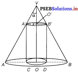 PSEB 12th Class Maths Solutions Chapter 6 Application of Derivatives Miscellaneous Exercise 15