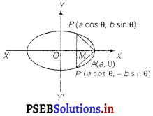 PSEB 12th Class Maths Solutions Chapter 6 Application of Derivatives Miscellaneous Exercise 4