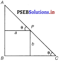 PSEB 12th Class Maths Solutions Chapter 6 Application of Derivatives Miscellaneous Exercise 9