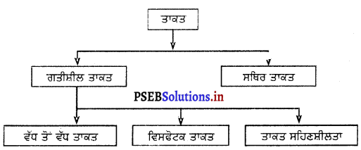 PSEB 12th Class Physical Education Solutions Chapter 1 ਸਰੀਰਕ ਯੋਗਤਾ 1