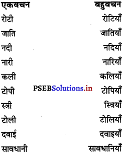 PSEB 6th Class Hindi Grammar प्रयोगात्मक व्याकरण (2nd Language) 15