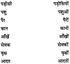 PSEB 6th Class Hindi Grammar प्रयोगात्मक व्याकरण (2nd Language) 21