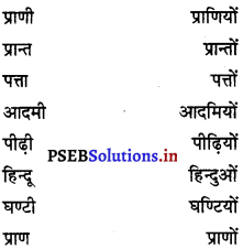 PSEB 6th Class Hindi Grammar प्रयोगात्मक व्याकरण (2nd Language) 22