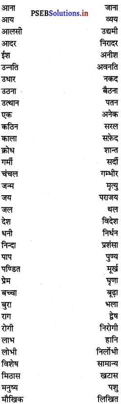 PSEB 6th Class Hindi Grammar प्रयोगात्मक व्याकरण (2nd Language) 33
