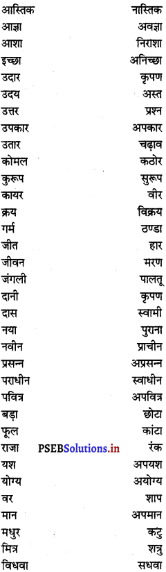 PSEB 6th Class Hindi Grammar प्रयोगात्मक व्याकरण (2nd Language) 34
