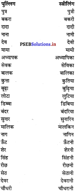 PSEB 6th Class Hindi Grammar प्रयोगात्मक व्याकरण (2nd Language) 5