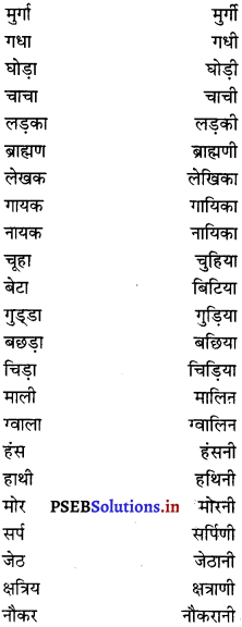 PSEB 6th Class Hindi Grammar प्रयोगात्मक व्याकरण (2nd Language) 6