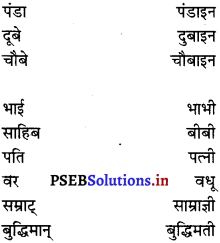 PSEB 6th Class Hindi Grammar प्रयोगात्मक व्याकरण (2nd Language) 8