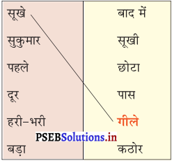 PSEB 6th Class Hindi Solutions Chapter 10 चिड़िया का गीत 1