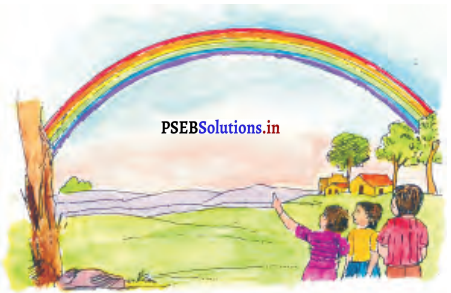 PSEB 6th Class Hindi Solutions Chapter 4 इंद्रधनुष 2
