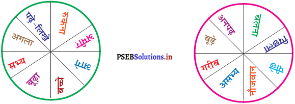 PSEB 6th Class Hindi Solutions Chapter 6 मैं और मेरी सवारी 1