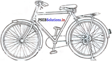PSEB 6th Class Hindi Solutions Chapter 6 मैं और मेरी सवारी 2