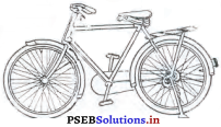 PSEB 6th Class Hindi Solutions Chapter 6 मैं और मेरी सवारी 3