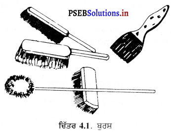 PSEB 6th Class Home Science Solutions Chapter 4 ਘਰ 1