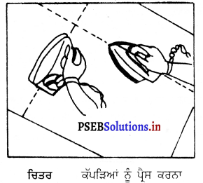 PSEB 6th Class Home Science Solutions Chapter 7 ਸੂਤੀ ਕੱਪੜਿਆਂ ਨੂੰ ਧੋਣਾ 2