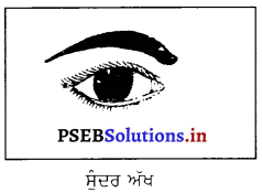 PSEB 6th Class Physical Education Solutions Chapter 1 ਸਿਹਤ 1