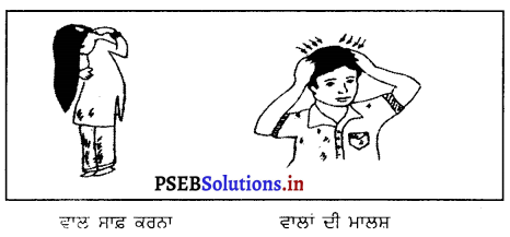 PSEB 6th Class Physical Education Solutions Chapter 1 ਸਿਹਤ 4