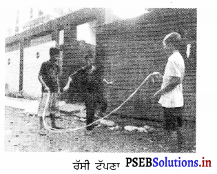 PSEB 6th Class Physical Education Solutions Chapter 4 ਪੰਜਾਬ ਦੀਆਂ ਲੋਕ ਖੇਡਾਂ 3