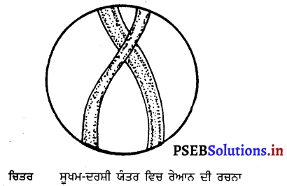 PSEB 7th Class Home Science Solutions Chapter 8 ਬਨਾਉਟੀ ਢੰਗ ਨਾਲ ਬਣਾਏ ਕੱਪੜਿਆਂ ਦੀ ਦੇਖਭਾਲ 1