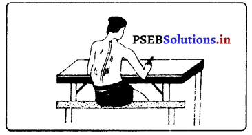 PSEB 7th Class Physical Education Solutions Chapter 3 ਸਰੀਰਿਕ ਢਾਂਚਾ ਤੇ ਇਸ ਦੀਆਂ ਕਰੂਪੀਆਂ 2