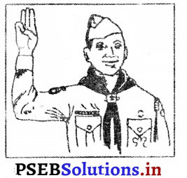 PSEB 7th Class Physical Education Solutions Chapter 7 ਸਕਾਊਟਿੰਗ ਅਤੇ ਗਾਈਡਿੰਗ 2