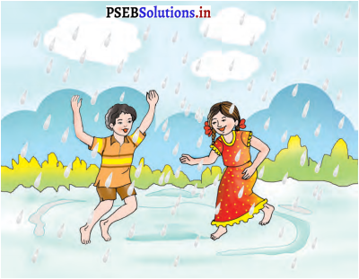 PSEB 8th Class Hindi Solutions Chapter 10 रब्बा मीह दे-पानी दे 5