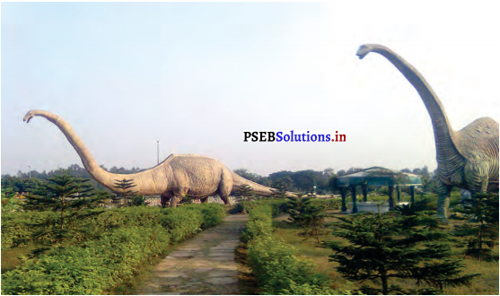 PSEB 8th Class Hindi Solutions Chapter 12 ज्ञान और मनोरंजन का घर साइंस सिटी 1