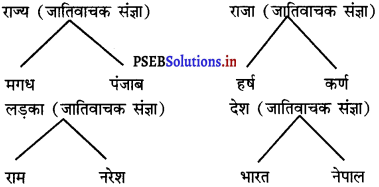 PSEB 8th Class Hindi Solutions Chapter 2 पिंजरे का शेर 6