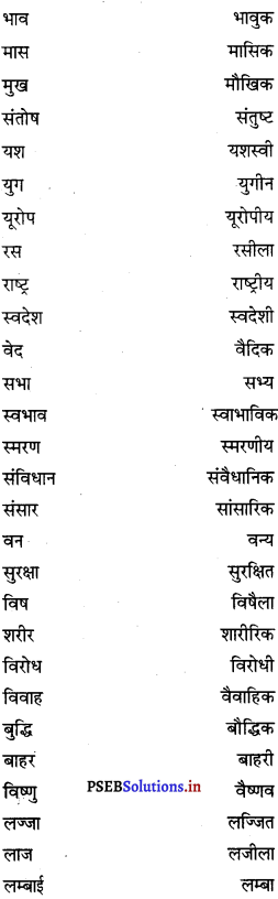 PSEB 8th Class Hindi Vyakaran व्यावहारिक व्याकरण (2nd Language) 13