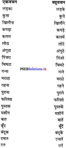 PSEB 8th Class Hindi Vyakaran व्यावहारिक व्याकरण (2nd Language) 17
