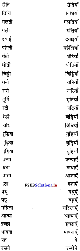PSEB 8th Class Hindi Vyakaran व्यावहारिक व्याकरण (2nd Language) 19
