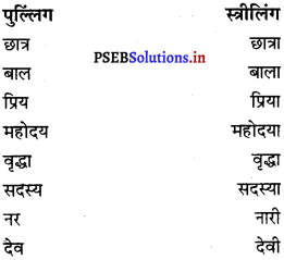 PSEB 8th Class Hindi Vyakaran व्यावहारिक व्याकरण (2nd Language) 23