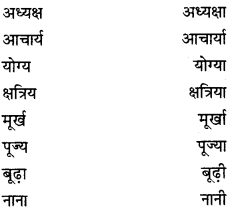 PSEB 8th Class Hindi Vyakaran व्यावहारिक व्याकरण (2nd Language) 24