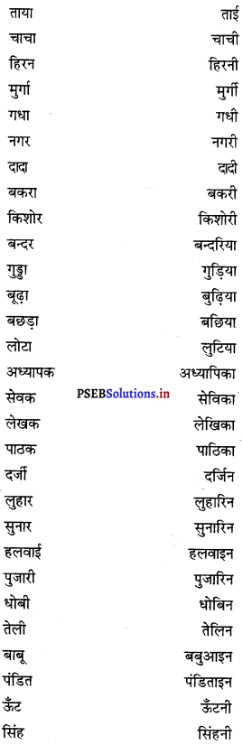 PSEB 8th Class Hindi Vyakaran व्यावहारिक व्याकरण (2nd Language) 25