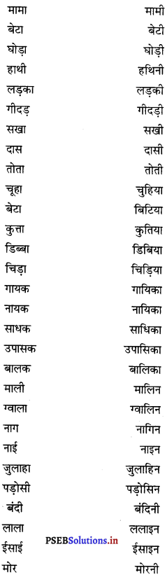 PSEB 8th Class Hindi Vyakaran व्यावहारिक व्याकरण (2nd Language) 26
