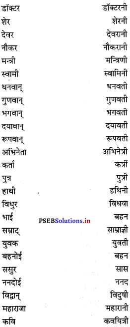 PSEB 8th Class Hindi Vyakaran व्यावहारिक व्याकरण (2nd Language) 27