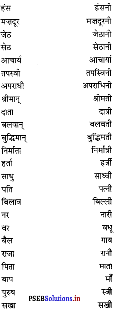 PSEB 8th Class Hindi Vyakaran व्यावहारिक व्याकरण (2nd Language) 28