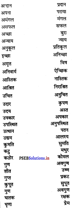 PSEB 8th Class Hindi Vyakaran व्यावहारिक व्याकरण (2nd Language) 30