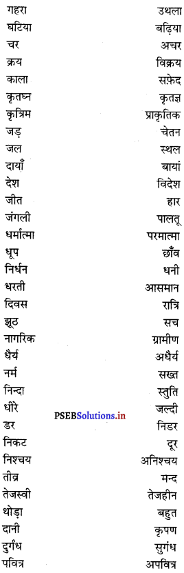 PSEB 8th Class Hindi Vyakaran व्यावहारिक व्याकरण (2nd Language) 31