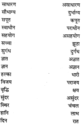 PSEB 8th Class Hindi Vyakaran व्यावहारिक व्याकरण (2nd Language) 35