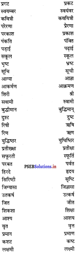 PSEB 8th Class Hindi Vyakaran व्यावहारिक व्याकरण (2nd Language) 42
