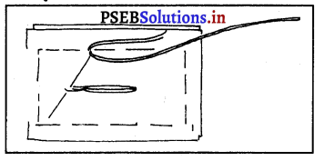 PSEB 8th Class Home Science Practical ਬਟਨ ਲਗਾਉਣਾ ਅਤੇ ਕਾਜ ਬਣਾਉਣਾ 1
