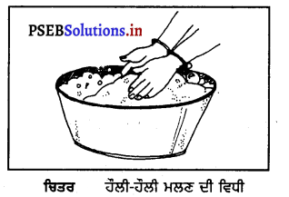 PSEB 8th Class Home Science Solutions Chapter 8 ਗਰਮ ਕੱਪੜਿਆਂ ਦੀ ਦੇਖ-ਭਾਲ ...