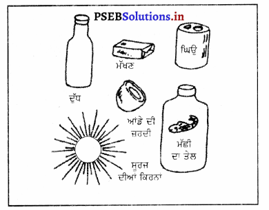 PSEB 8th Class Physical Education Solutions Chapter 3 ਵਿਟਾਮਿਨ 4